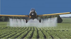 agrotoxicos-709905