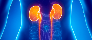 insuficiencia renal