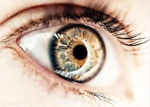ojo-pupila-iris